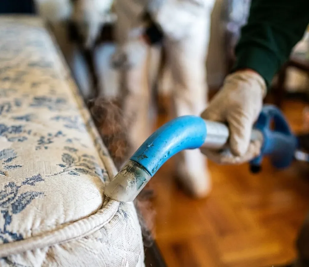 Bed Bug Treatment service in Clearwater, FL